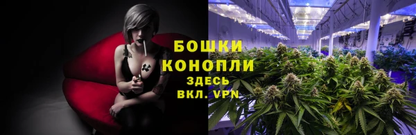 каннабис Гусев