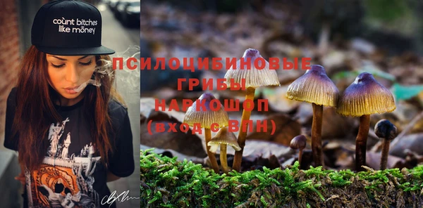 каннабис Гусев