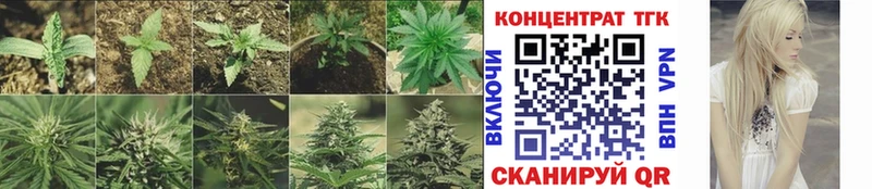 Дистиллят ТГК Wax  как найти закладки  Оленегорск 